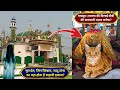 Makhdoom Ashraf ki Karamati Billi Bibi Ka Anokha Waqia Aur Ziyarat Kichhauchha Sharif | किछौछा शरीफ