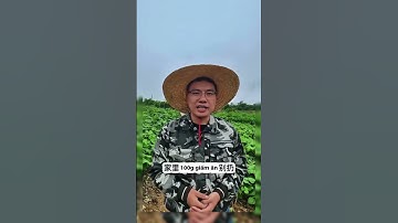 Mẹo Dân Gian Trừ Sâu Hiệu Quả Không Cần Thuốc Hóa Học | Mẹo Trồng Cây, Chăm Sóc Cây