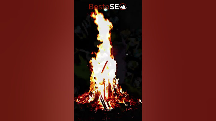 Holi 2023 ♥️ | A Festival of Love | BestoSEO Solutions Holi Celebration |