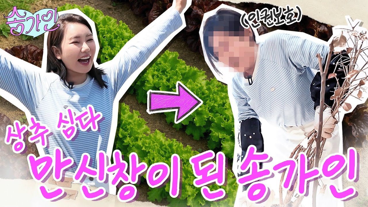 “상추 심다 열받아부러🔥“ 홈가드닝하다 영혼까지 탈탈 털린 송가인🌱 | 가인로그여라💗