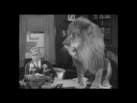 The Hollywood Kid — trailer