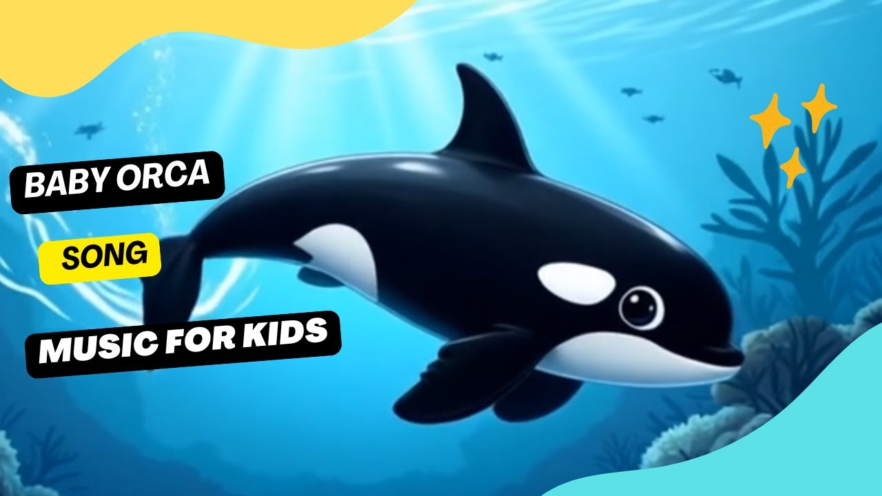 Baby Orca Song / Music for Kids - YouTube