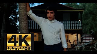 Sandro - Te Quiero TantoAmada Mía 1970 [Remasterizado a 4K] by morrisjrs1965 413 views 11 days ago 3 minutes, 38 seconds