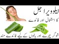 Use Aloe Vera Gel For Face and hair, Skin Whitening, Get Clear, Glowing, Spotless Skin!