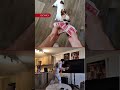 ¡EL REY EN CASA! Contrató a Elvis para un show privado... ¡solo para él! #shortsviral