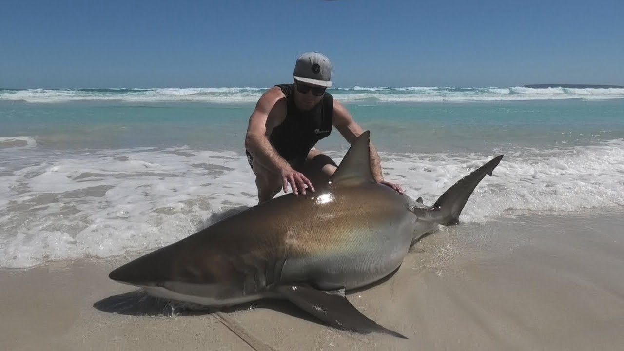 Big Sharks & Salmon Surf Fishing - YouTube