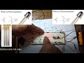 working of Phototransistor. #photodirector #phototransition #photodiode