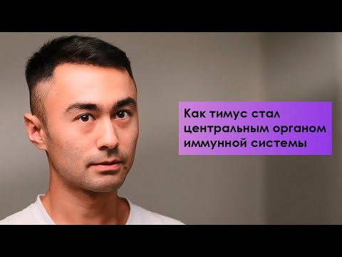 История о том, как тимус стал центральным органом иммунной системы.