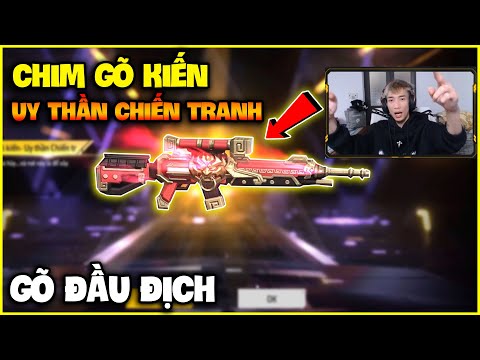 Video: 3 cách để thu hút chim gõ kiến Downy