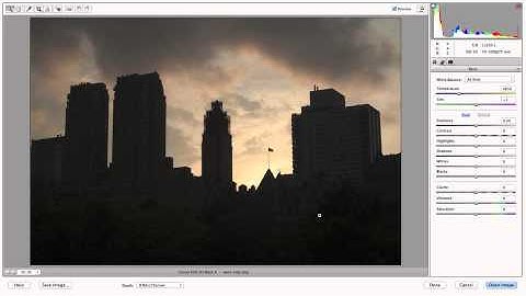 PSE 11 and Adobe Camera RAW Part 1