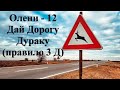 Олени-12 - Правило 3 Д - (дай дорогу дураку)