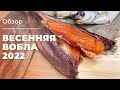 ВЕСЕННЯЯ ВОБЛА 2022 | Обзор