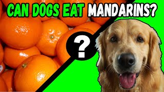 Can Dogs Eat Mandarins?