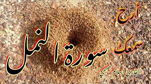 ماتيسر من سورة النمل للقارئ اسلام صبحي
