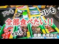 【北海道】魚が進化する店!『銀鱗 高槻商店』㊗️登録者一万人記念!!