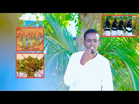 DHAANTO CUSUB SULDAAN AHMED NUUR RAGAN JAADKA QABATIMOW OFFCIAL MUSIC VIDEO 2024