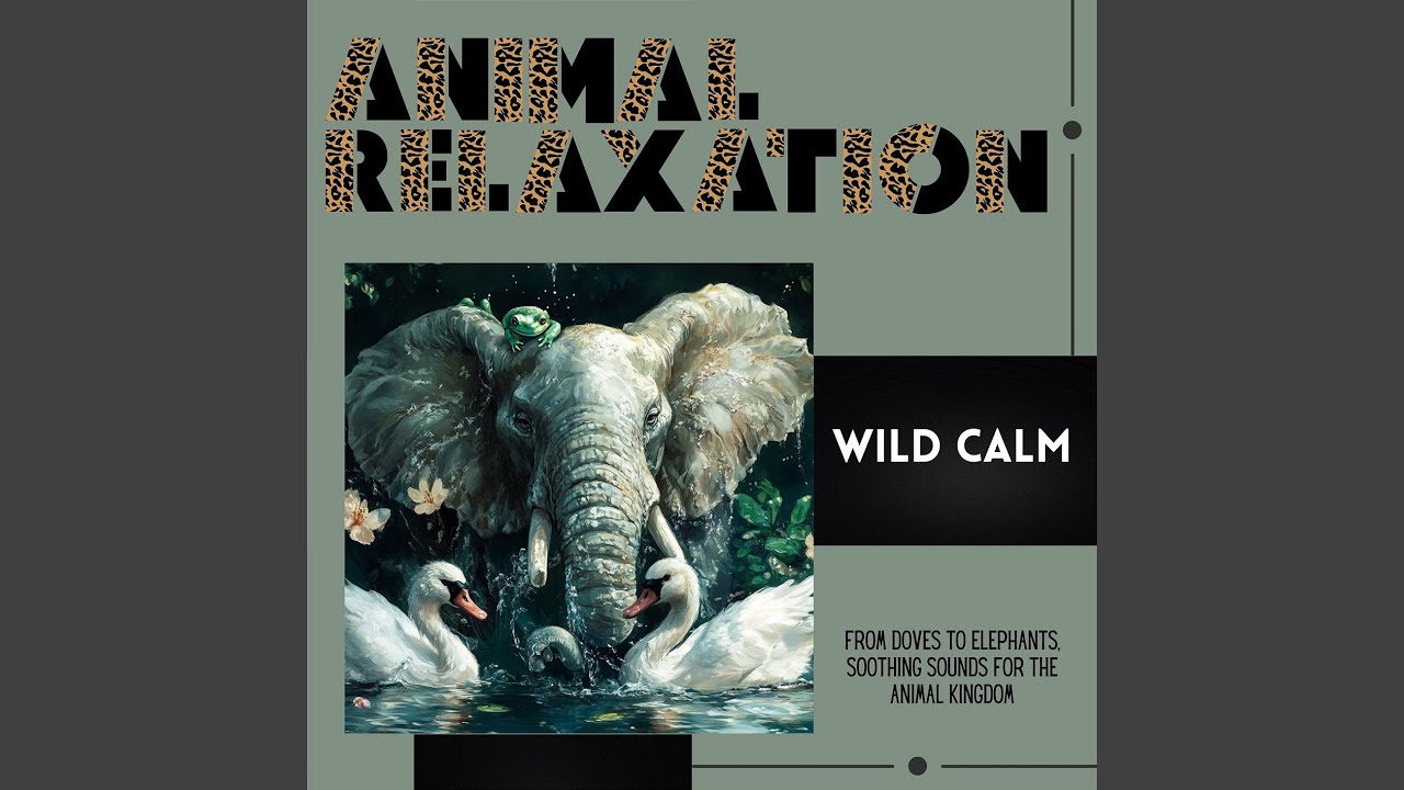 Purrfect Calm for Pets, 417 Hz Audio Signal