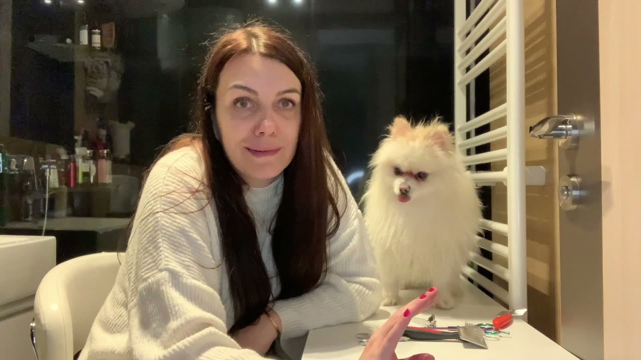 Sređujem Šabana 🐕 Kako ošišati pomeranca?