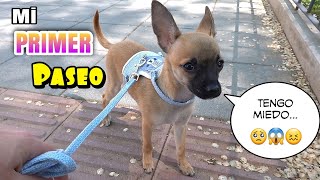 NUEVA MASCOTA!! PRIMER PASEO parte3