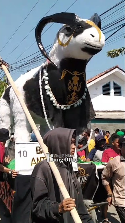 ngarak ogoh ogoh domba kuring #arakarakan #shortvideo #shorts