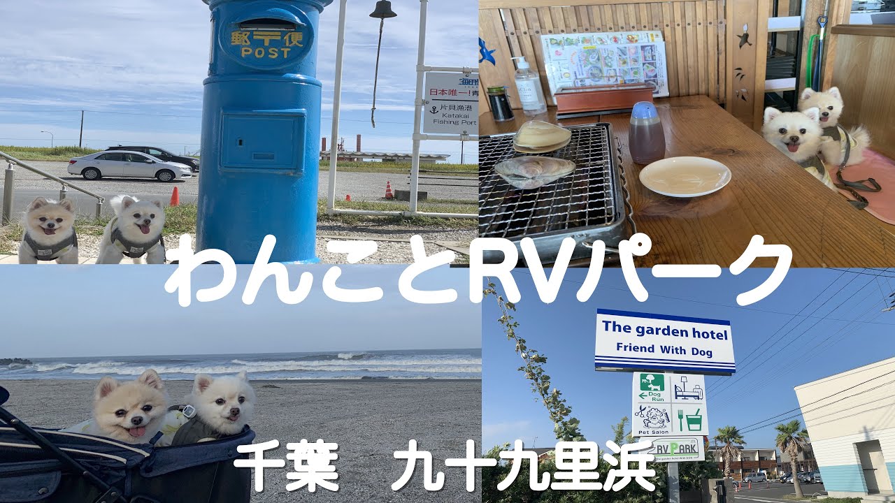 【わんことRVパーク】千葉　九十九里浜