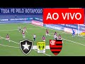 Botafogo x Flamengo AO VIVO - Campeonato 2025 ⚽