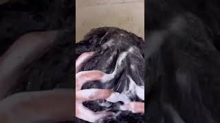 Argan Oil Shdanoo  Conditioner For Curly Hair