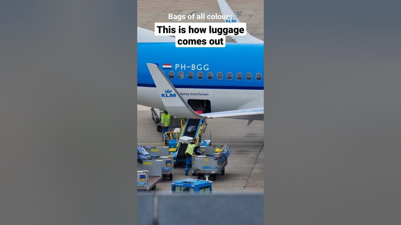 KLM baggage handling, luggage 🧳in KLM Boeing 737 flight ️ klm bag 