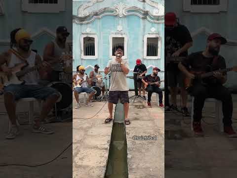 Raiz Tribal - Reels 2022