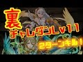 裏チャレンジダンジョンLv11(メリディオナリス、2ターンキル)