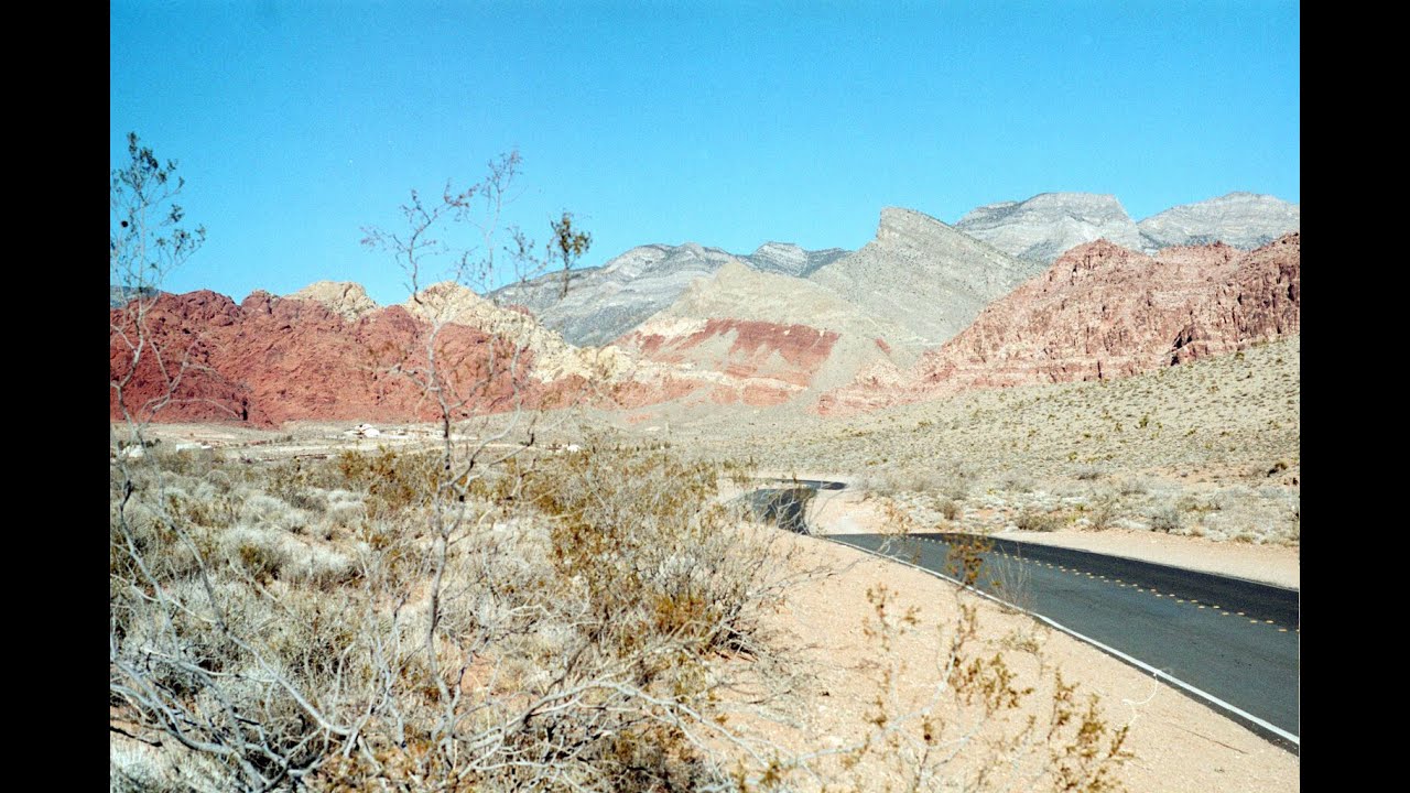 Spider Origin in the Sea?