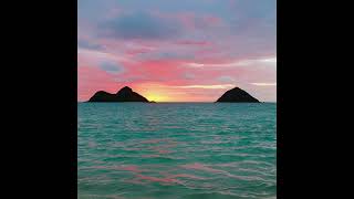 free Playboi Carti X Adrian Type Beat Deep End