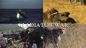 "Gladiator War" (Remastered)