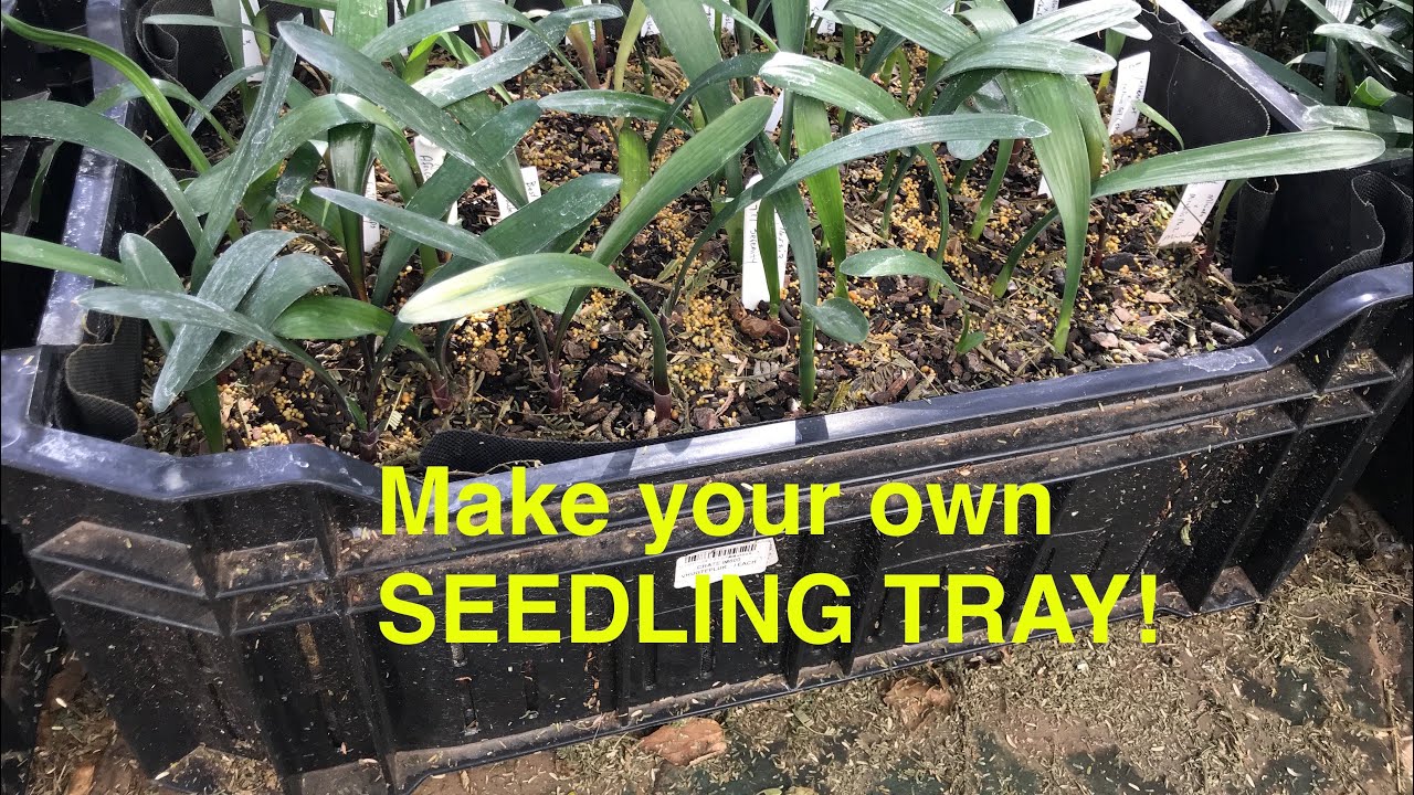 Make your own SEEDLING TRAY! YouTube