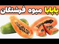خواص پاپایا خواص جادویی پاپایا پاپایا میوه ی فرشتگان 
