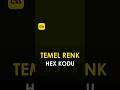 Temel Renklerin HEX Kodu