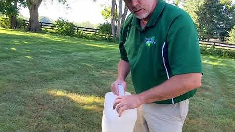 How to check for armyworms.