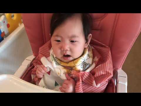 이유식중 똥 싸려고 화이팅하는 6개월 아기 #6month baby tries best to do a poo during her meal