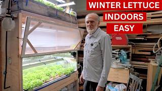 Indoor Lettuce Growing in Winter (Soil + Organic Hydroponics Setup Tour)