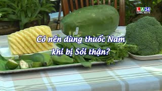 Có nên dùng thuốc nam khi bị Sỏi thận