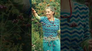 How to Master Forest Gardening (ft. Pippa Chapman) #gardeningideas