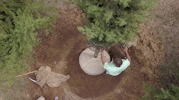 Art of Hand Digging Trees