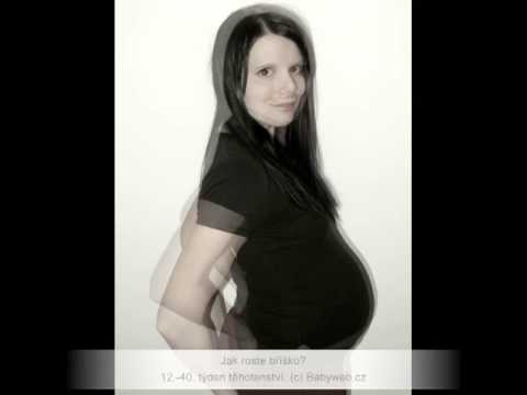 Video: 10 Týdnů Těhotná - Změny Plodu, Břicho, Bolesti, Vyšetření