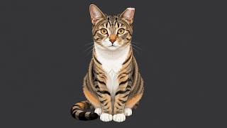 The Feline Badge of Honor: What Does a Cat Ear Tip Mean