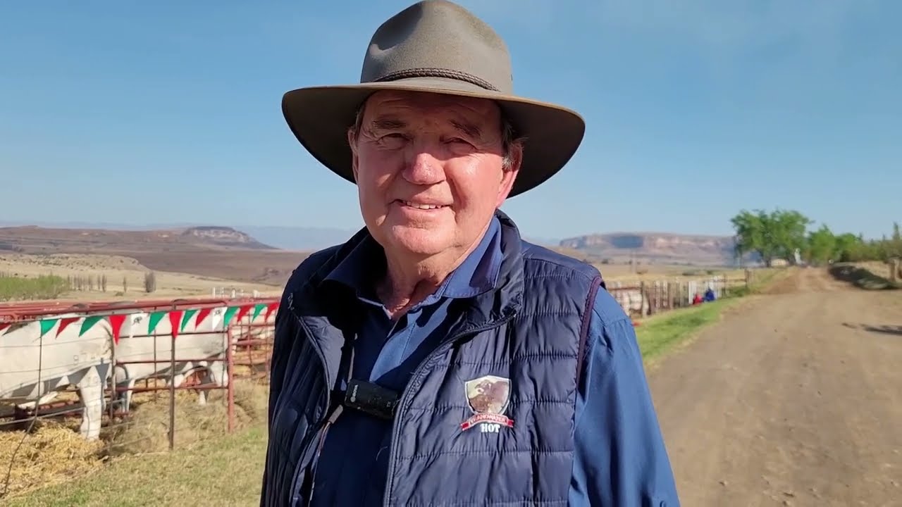 Linde Du Plessis van Brandwater Droughtmasters gesels oor die bulle wat hy 23 September aanbied.