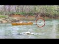 Zwei Hunde treiben alleine auf dem Fluss im Boot, als plötzlich ein Tier auf sie zu rennt