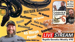 New Genetic Tests Are Here! - Reptile Genetics Weekly EP 95