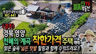 (급매) 경북 영양 천혜의 계곡 착한 가격 전원주택 매매 집기 모두 드리고 가며 펜션 수익도 가능한 영양부동산  발품부동산TV