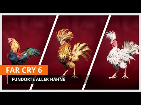 Far Cry 6: Guide - Alle Hähne finden - Fundorte für den Hahnenkampf (Rekru-Tiere)