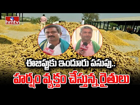 Turmeric industry in Telangana: ఈజిప్టుకు ఇందూరు పసుపు.. హర్షం వ్యక్తం చేస్తున్న రైతులు | hmtv